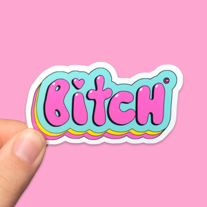 Pack of 12 B*tch Waterproof Vinyl Stickers